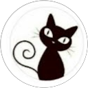 Cat Collins profile picture